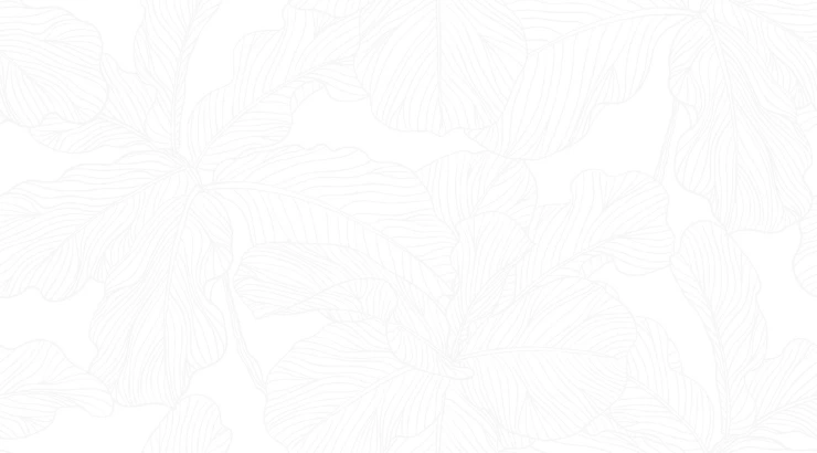 tropicalleavesbg